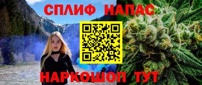 стаф Будённовск