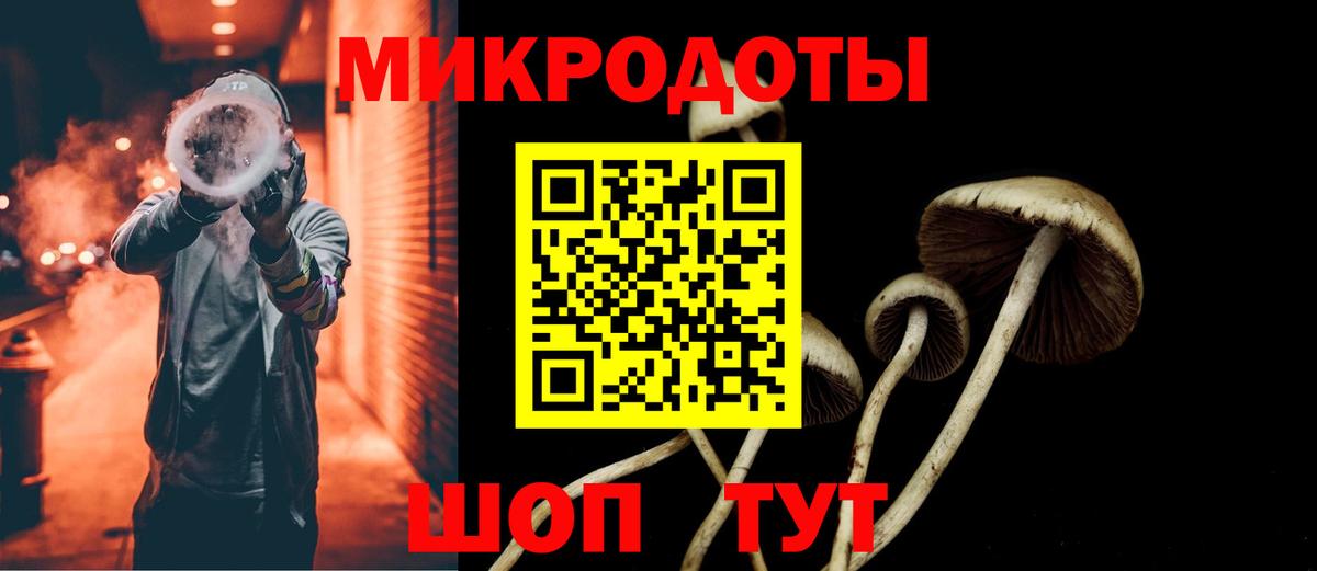 Галлюциногенные грибы Cubensis  Вход с VPN  Майкоп 